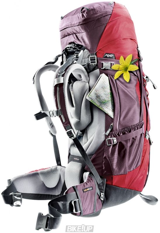 Рюкзак DEUTER Aircontact 40+10 SL колір 5005 cranberry-aubergine